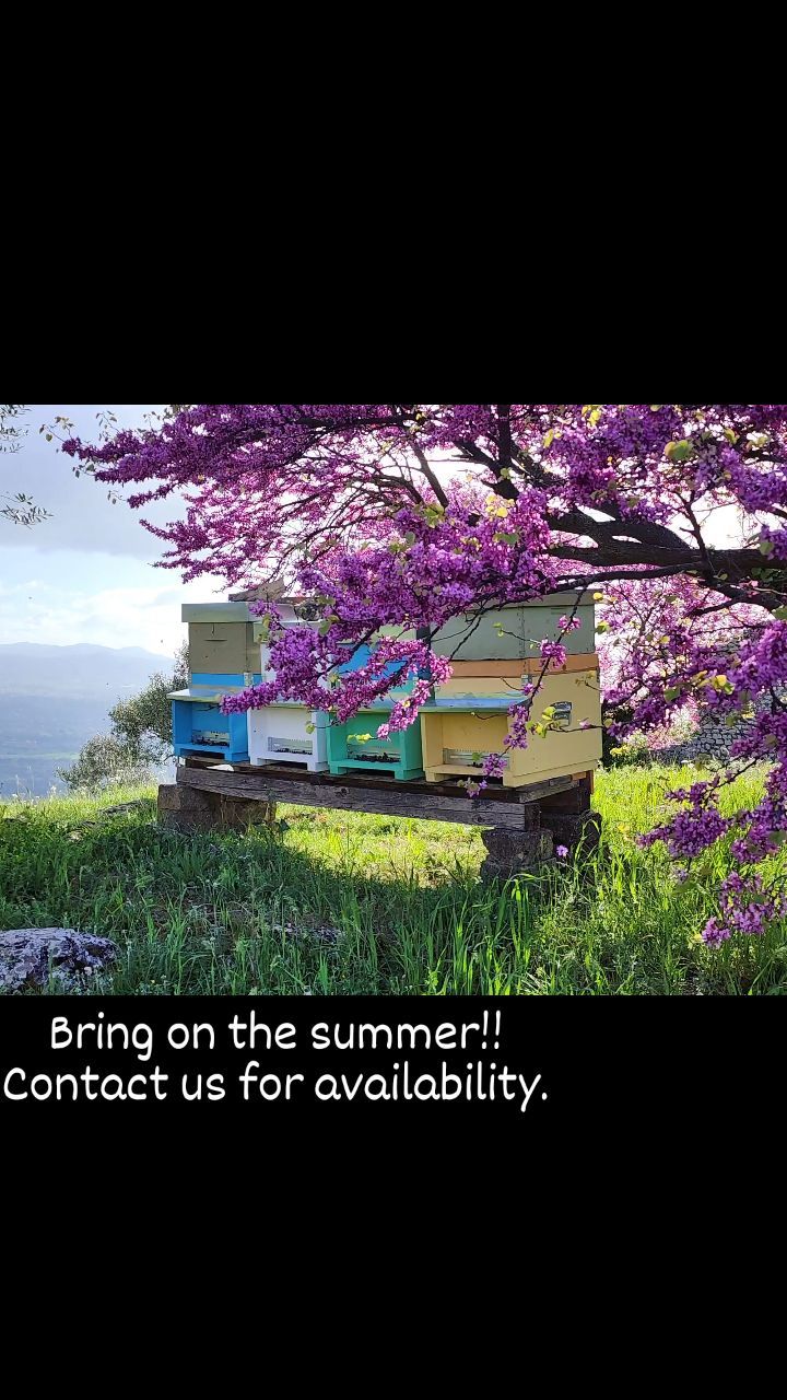 We want to be your summer holiday destination - Contact us for availability.
www.santangelovilla.com
#italy_vacations #romecountryvilla #beekeepers #europe_vacations