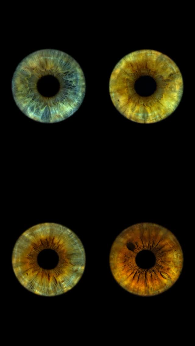 #irisgalleri #eyephotography #irisphotography #macroeye #irisart #eyecloseup #eyemacro #uniqueeyes #eyeartwork #irisportrait #norskfotograf #fotokunst #kunstfoto #oslofotograf #norwayphotography #visitnorway #norgebilder #mittnorge #norwegianart #osloartscene #macrophotography #fineartphotography #irisdetails #eyestagram #oslobusiness #norwegianphotographer #norwayart #artinnorway #creativephotography #irisphoto