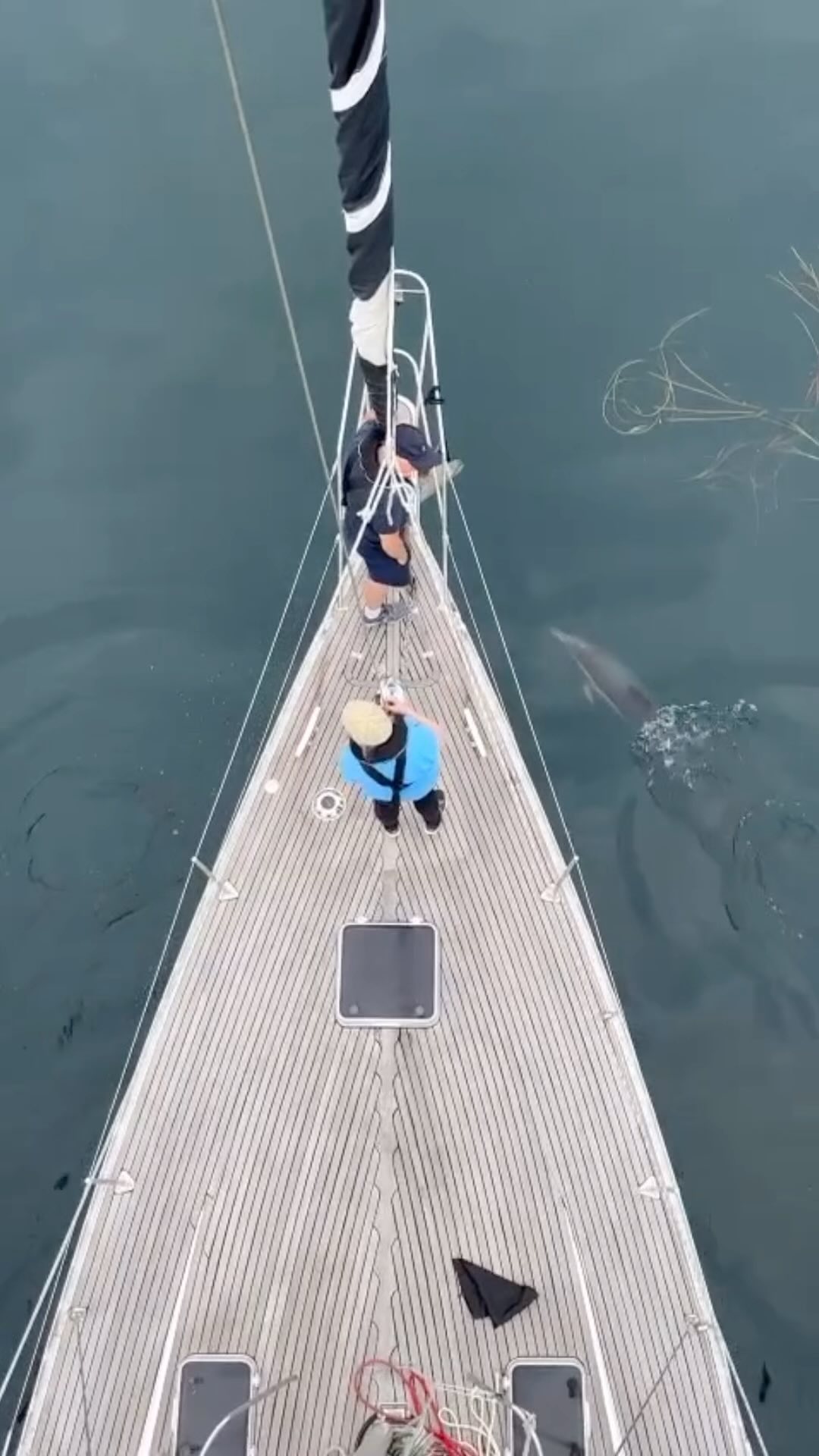 Another day in island paradise! 🏝️
#islesofscilly #visitislesofscilly #yachtlife #yachting #boat #sailing #boatlife #sea #boating #boats #travel #yachtcharter #summer #sail #ocean #lifestyle #sailinglife #sunset #islandlife #scillyisles #cornwall #lovescilly #myscilly #ios #island #beach #holiday #nature #scillysailing #adventure