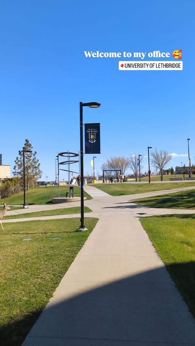 Welcome to my office…
where I sometimes feel like I’m working at a zoo 🥰