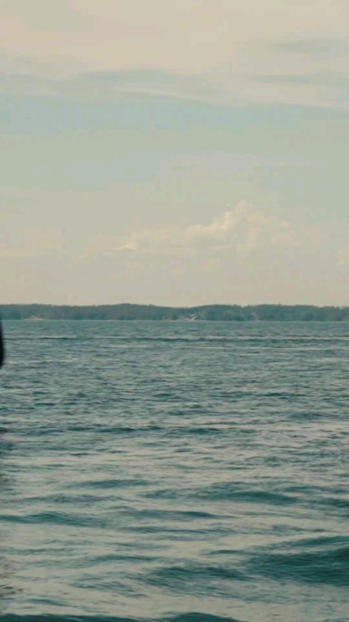 Brizo Yachts BY40SC OB
#brizoyachts #brizo #aluminiumboat #aluminumyacht #fastyacht #volvopenta #mercurymarine #garmin #luxurytoys #luxuryyachts #monaco #cannes #mediterranlifestyle #bigtoys #bigboystoys #mercurymarine #gentlemanschoice #gentlemansride #madeinfinland #v12600 #tr3media #esthec