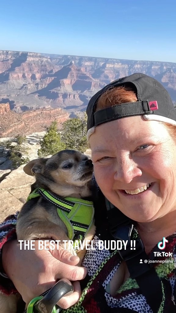Douters was the best travel buddy!! Will to go anywhere and explore where ever I wanted to!! #bestfriendgoals #chihuahuasofinstagram #grandcanyonnationalpark