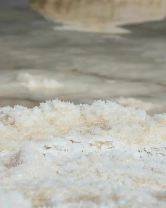 There’s real magic in salt. Formed by the ocean, kissed by the sun, and carried by the wind. Sea salt is more than just a mineral; it’s nature’s own remedy, harvested from evaporated seawater and packed with calming, detoxifying benefits. Add a little to your bath, and let the ocean’s ancient energy bring you back to center.
#SaltMagic #OceanHealing #SeaSaltTherapy #RelaxationRitual #BathTimeBliss #SpaVibes #NaturalWellness #SaltSoak #SelfCareSanctuary #DetoxBath #BathRituals #OceanMinerals #HolisticRelaxation #SeaSaltSoak #UnwindNaturally