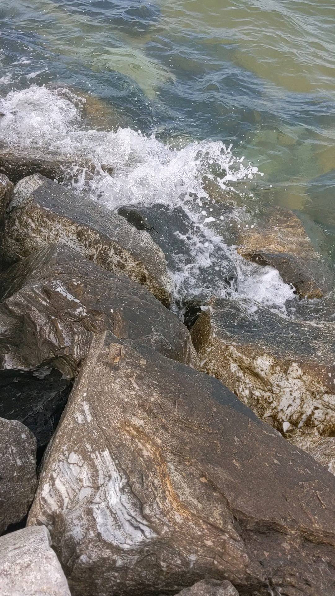 Things have been so busy.
Sometimes I really like to be wildly busy. It makes me feel like I'm really living, rather than passively wading through life.
But there's value in pausing, in taking a breath, in relaxing.... And so I have to be mindful to take time for that too.
This reel is just one little moment where I decided to stop and watch the water. I hope you all take time to pause as well, and take a breath admist the endless stimulation of living in the 21st century.
Have a nice day.
💙Bri
#relaxingtime #waves #calmdown