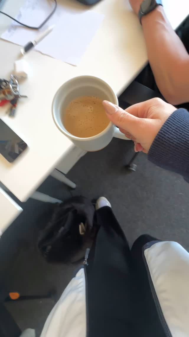 Unsere Office Love Languages 💗
Was sind eure Love Languages für eure Kollegen? 👇🏻
#ovgugmbh #ovgu #office #magdeburg #workbuddy #teamwork #lovelanguage #officedog