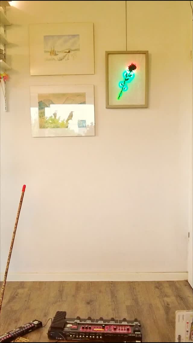 Tourdion
Pierre Attaingnant
Anno 1530
#tourdion #ukulele