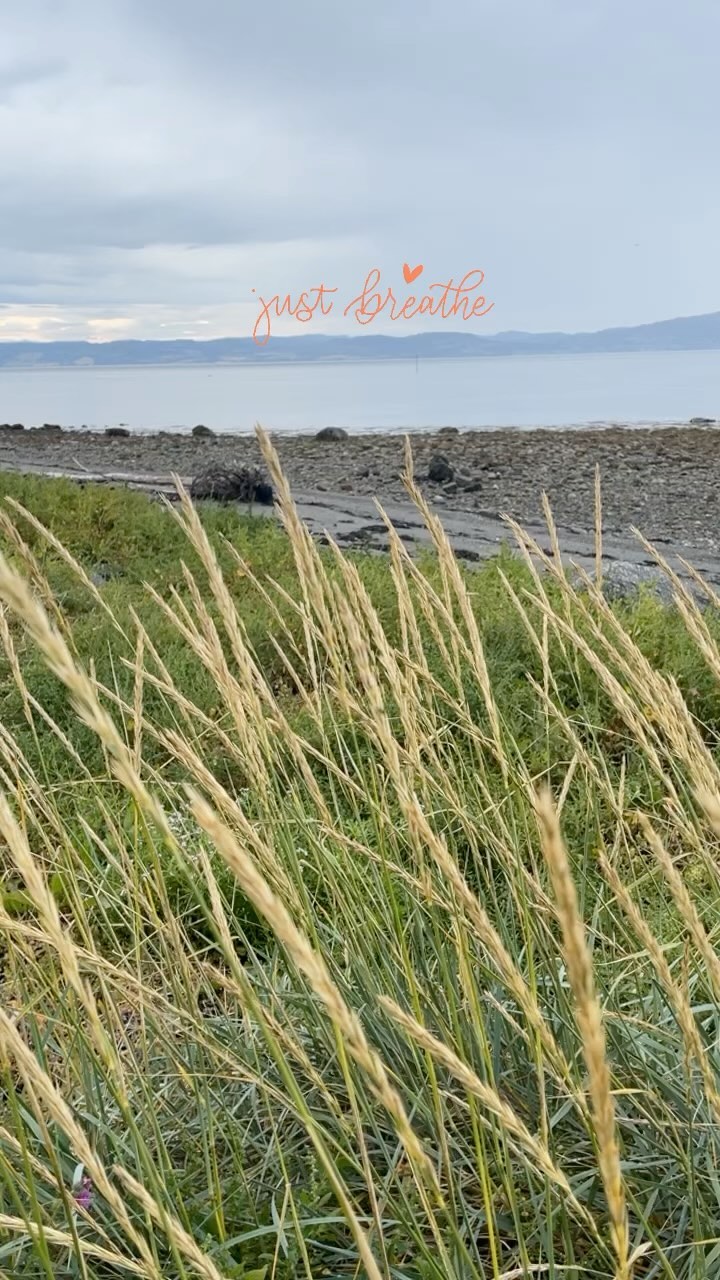 Just breath 💚🌿
#healingenergy #norwegiannature #sjobjorg #arcticvita #wellbeing #myownwellbeing