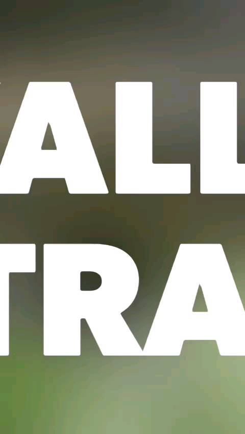 Détente, rires, danses et chansons🦋🎉💃🕺🎶
Retour en images sur ces moments de convivialité☀️Levallois Entraide c'est aussi des liens d'amitié🧡