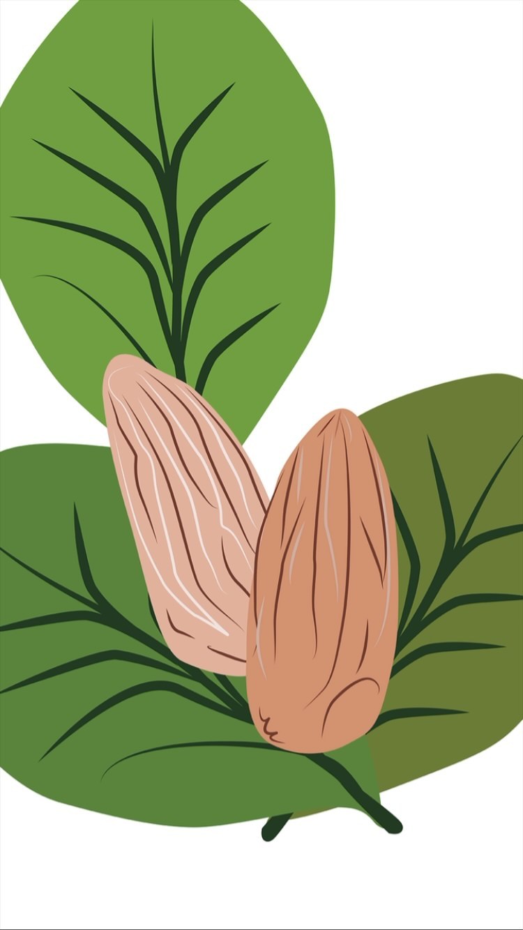 Today we celebrate National Almond day!
#NationalAlmondDay #AlmondDay
#Almonds #nuts #Vitamins #Healthy #Health #SeniorLife #SeniorCare #HealthyDiet #HealthyFats #Antioxidants #VitaminE #Protein #Magnesium