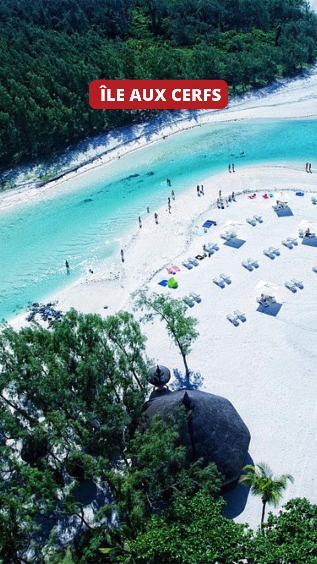 🌴✨ Mauritius isn’t just a destination, it's an adventure waiting to unfold! Ready to experience it? Let CND Travel guide you to the best spots!
📞 Contact us today:
📱 +27 79 244 4432
📧 hello@cndtravel.co.za
🌐 www.cndtravel.co.za
#MauritiusAdventure #ThingsToDoInMauritius #CNDTravel #TravelWithCND