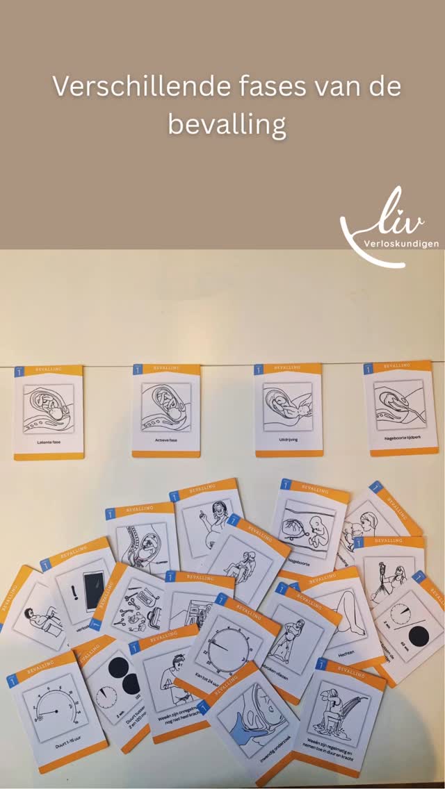 Een goede voorbereiding is belangrijk! Zorg dat je weet wat je kunt verwachten, dan kun je een actievere rol aannemen en betere beslissingen maken tijdens je bevalling.
#bevallen #bevalling #fases #actief #uitdrijving #latent #verloskundige #midwife #voorbereiding #belangrijk #geboorteplan #keuzes #autonomie #zelfbeslissen #hulp #ondersteuning #Maasland #Vlaardingen #Maassluis