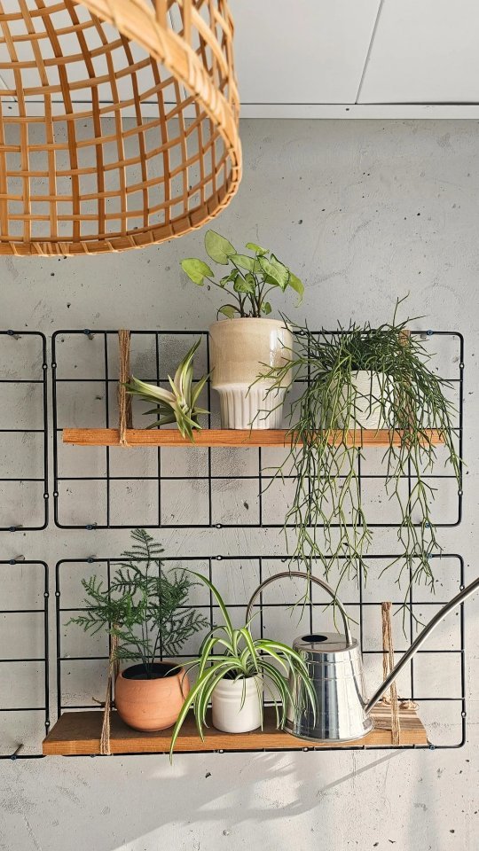 Summer chilling in the city!
With just a few outdoor pieces, some accessories, and a few plants, you can create your own outdoor oasis to enjoy during the warm summer days and nights.
#balcony #balconydesign #outdoordesign #balconylife #summer #balconyinspo #summervibes #lanterns #torontocondodesign #torontocondoliving #interiorstyling
#outdoorchairs #balconyaesthetics #interiordesign #plants #homedecor #designinspo #designideas