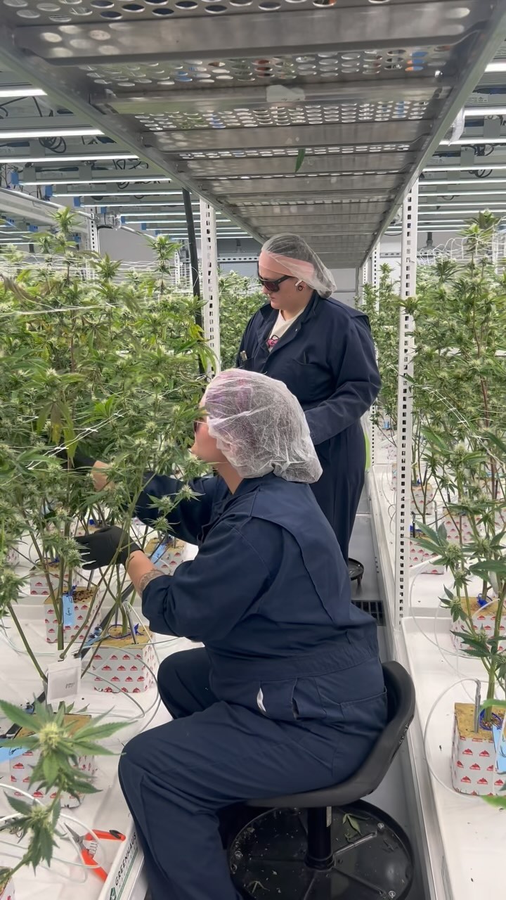 Come along for the ride as we give you a sneak peek into our garden! From the ground up to the top tier, our team’s got the green thumb magic happening at every level. 🌿
