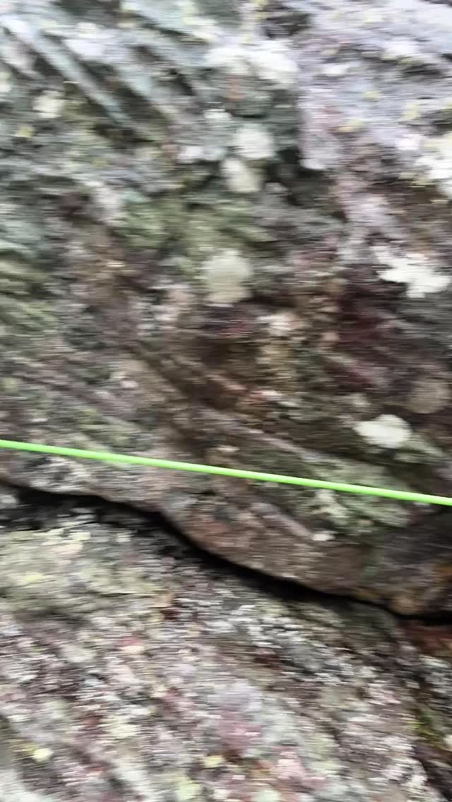 CERRADO VERTICAL NA CHAPADA DIAMANTINA
30.04 a 04.05 | Ibicoara - BA
Durante quatro dias intensos, marcamos presença no VIII Encontro de Canyoning IAC, realizado na majestosa Chapada Diamantina, Bahia. Um evento que reuniu amantes das técnicas verticais de todo o Brasil para compartilhar experiências, técnicas e claro, viver grandes aventuras.
Esses são os bastidores da nossa descida no Canyon Córrego da Onça, um verdadeiro desafio com 11 verticais e longas trilhas de aproximação e saída, em um dia chuvoso que colocou à prova nossa técnica, resistência e espírito de equipe.
Cenário deslumbrante, chuva na pele e adrenalina em cada lance.
Acompanhe, curta, compartilhe e viva essa descida com a gente!
@institutoamphibiacanyoning
#CerradoVertical #CanyoningBrasil
#ChapadaDiamantina #IAC #Canyoning #Aventura #Ibicoara #TurismoDeAventura #Rapel #VidaOutdoor