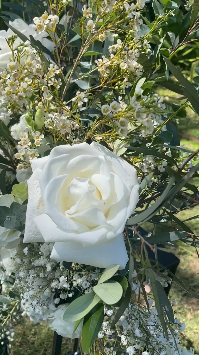 Take a walk down the aisle with me at @bangalayluxuryvillas 🤍
#southcoastwedding #sydneyweddingcelebrant #northernbeachescelebrant #modernmarriagecelebrant #modernsydneycelebrant #funsydneycelebrant #southernhighlandscelebrant #huntervalleycelebrant #southcoastcelebrant