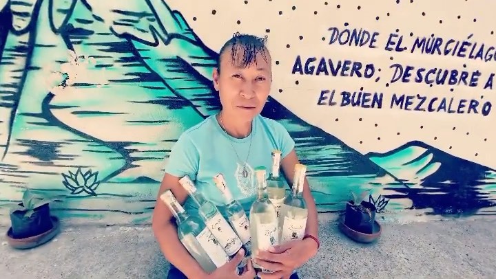 Mujer power 🫶🏼 from @zinacantan.mezcal
•
YES, we do small batches
YES, we developed an ecological model for the reintroduction of agaves and the conservation of the magueyero bat.
YES, we talk face to face. Nobody from the government has given us a single peso and we are not interested in politics.
YES, we have worked for more than 8 years to demonstrate that a responsible project can guarantee the biodiversity of the ecosystems associated with AGAVE and the tradition of peasant Mezcal.
YES we talk about the dark side of mezcal head-on and without filters.
YES, we are campesino and artisan Mezcal 100% AGAVE.
YES, we are two women growing this project.
——
SI, hacemos lotes pequeños
SI, Nosotras desarrollamos un modelo ecológico para reintroducción de agaves y conservación del murciélago magueyero.
SI, Nosotras hablamos de frente. Nadie del gobierno nos ha dado un solo peso y no nos interesa la política.
SI, hemos trabajado por más de 8 años para demostrar que un proyecto responsable puede garantizar la biodiversidad de los ecosistemas asociados al AGAVE y la tradición del Mezcal campesino.
SI hablamos de frente y sin filtros sobre el lado oscuro del mezcal.
SI, Somos Mezcal campesino y artesanal 100% AGAVE.
SI, somos dos mujeres creciendo éste proyecto.
#craftdistillers #mezcal #agavelove #agavespirits #womanpower #distilling #agaveholic #spirits #tequila #bourbon #whiskey #agave #mezcalera #bat #smallbatch #craftdistillers #craftdistillery #cognac