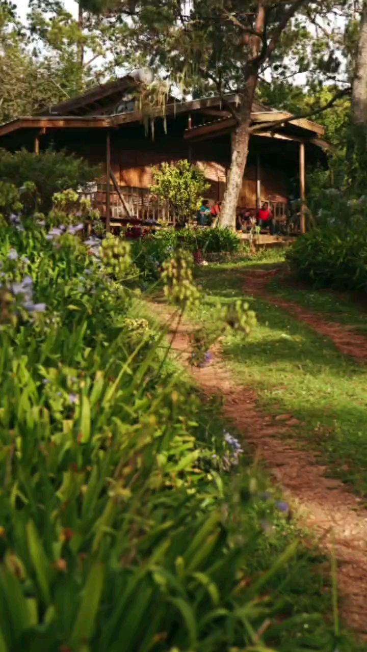 En la naturaleza encontramos inspiración, paz y creamos historias de vida. 🌿
📍Portezuelo, Constanza
_
#nature #travel #lifestyle #slowliving #photography #cottage
#cottagecore #biophilicinteriors #photography #vlog #constanza #republicadominicana
