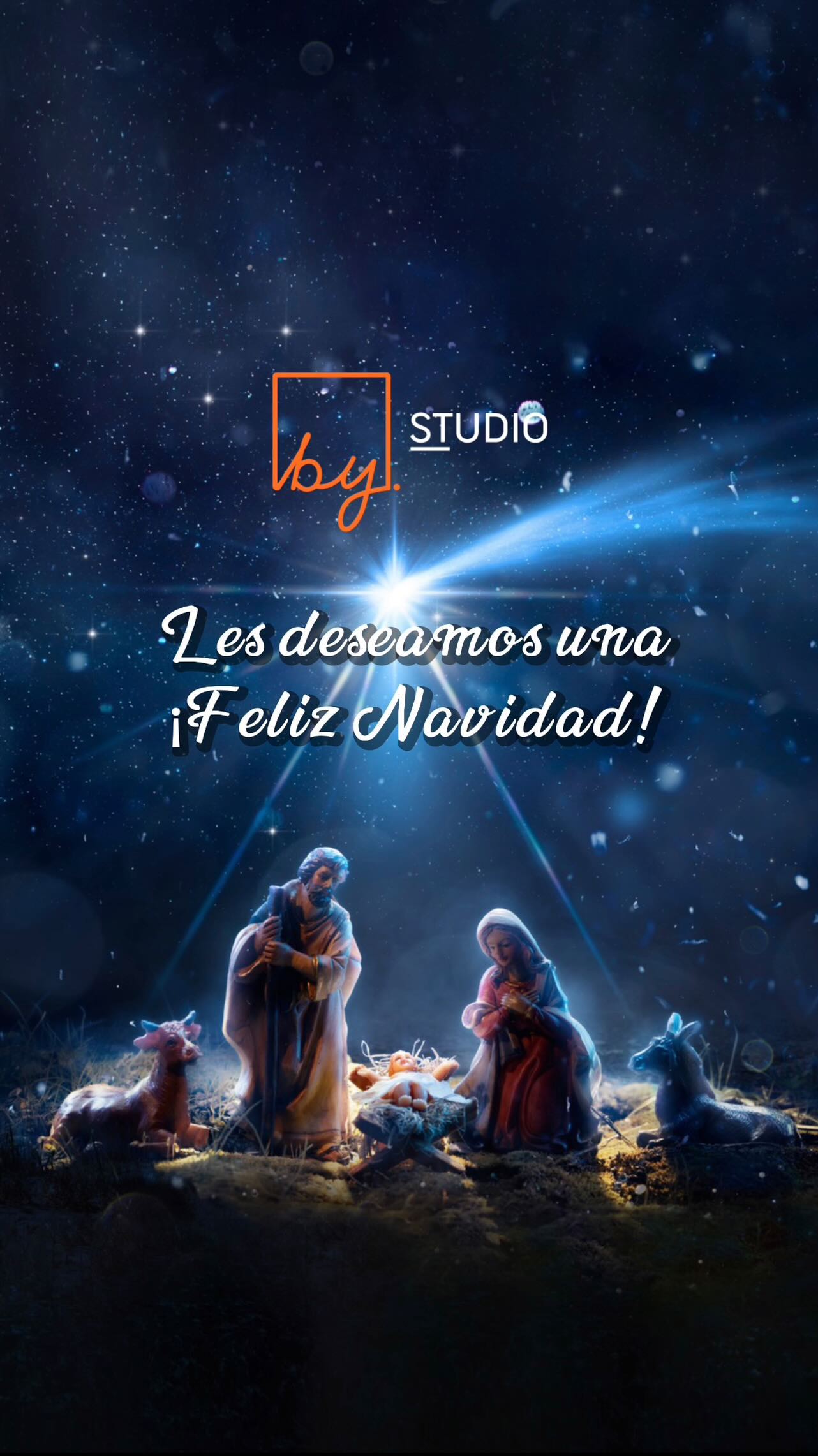 Les deseamos una muy Feliz Navidad! Llena de paz y amor junto a sus seres queridos.
Un gran abrazo,
ByStudio