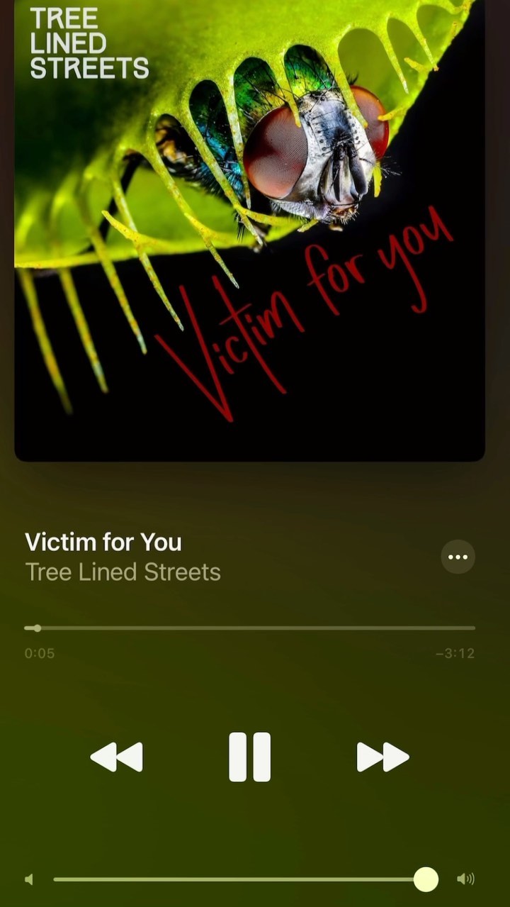 You can stream “Victim for You” NOW! Let us be the soundtrack to your Friday night! 🎧 #treelinedstreets