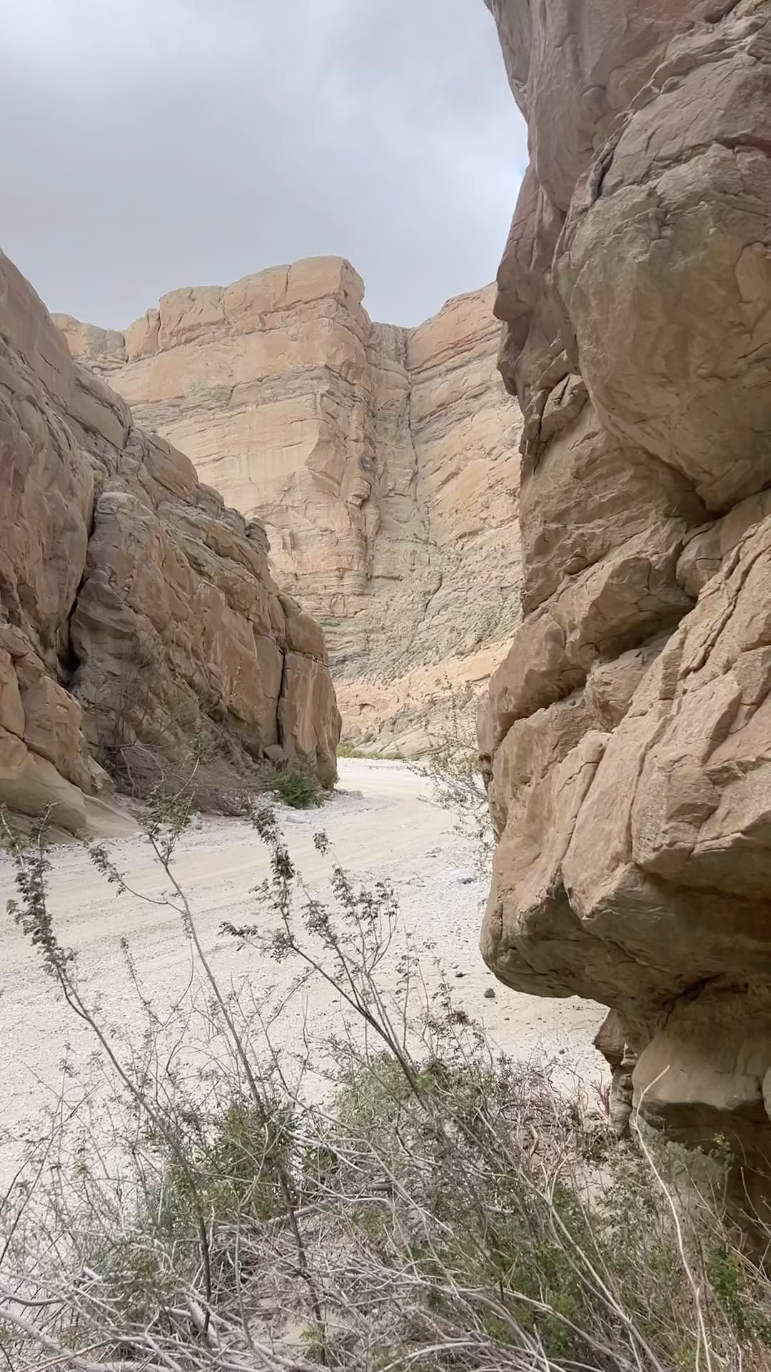 Anza Borrego has an abundance of canyons and washes to explore. There are few more spectacular to drive then the sandstone canyon!