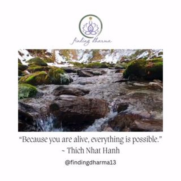 โญ๏ธ You are #magical โญ๏ธ
โญ๏ธ You are a #miracle โญ๏ธ
โญ๏ธ You are a #manifestor โญ๏ธ
โญ๏ธ Be in your #power โญ๏ธ
โญ๏ธ #Breathe โญ๏ธ
and โญ๏ธ #create โญ๏ธ
#findingdharma #Manifestation #PersonalGrowth #Empowerment #SpiritualJourney #SelfDiscovery #LifePurpose #InnerStrength #Mindfulness #PositiveVibes #Dharma