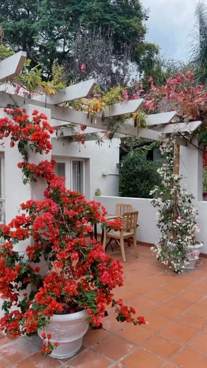 Location: Montagu, South Africa | My Likes: Wine tasting with a driver in a restored 1956 Cadillac, Art deco @montagucountry hotel, chef’s vegan tasting, mineral rich spa bath, hot stone massage, and breakfast on the sun porch. Thank you for hosting us @dreamcatcher.foundation