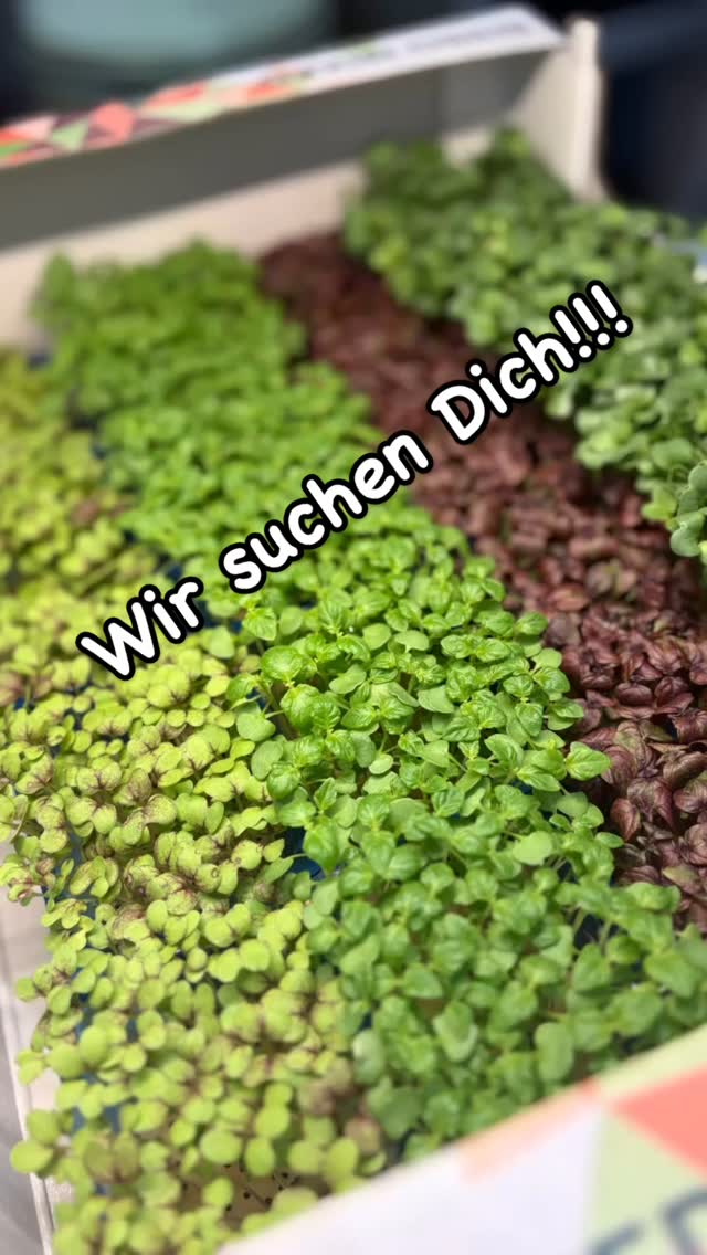 Restaurant Höfli_Staufen
Wir suchen dich!
Als Unterstützung für unser Küchenteam.
Du kochst gern, arbeitest gerne in einem Team, wo du Kreativität sein kannst,eigene Ideen 💡 hast, umsetzen willst
kein Teildienst/ Feiertag frei /Sonntag und Montag frei
Dann freuen wir uns auf dein Anruf 📞 07633/9337288