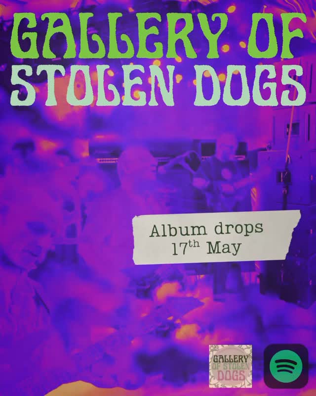 A snippet of our song, Leila Khaled. #altrock #neopsychedelicrock #newmusic #galleryofstolendogs