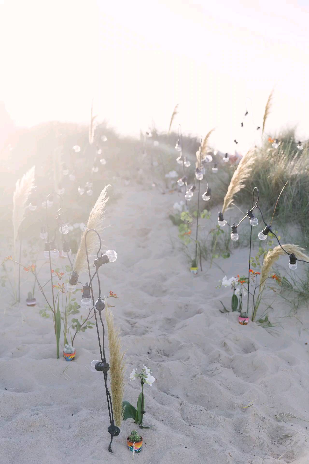 Throwback to this sunshine filled, beautiful shoot day, creating a perfect date night on the beach.
Styling @linenandlaceevents
📷 @charlottebryerashphoto
🥀 @clairlythgoe
📃 @gemmamilly
#beachshoot #beachvenue #datenight #beachdate #sandytoes #styledshoot #ukbeach #sunnybeachdays #shellbay #sandbanks #studland #poolebay #weddingstyling