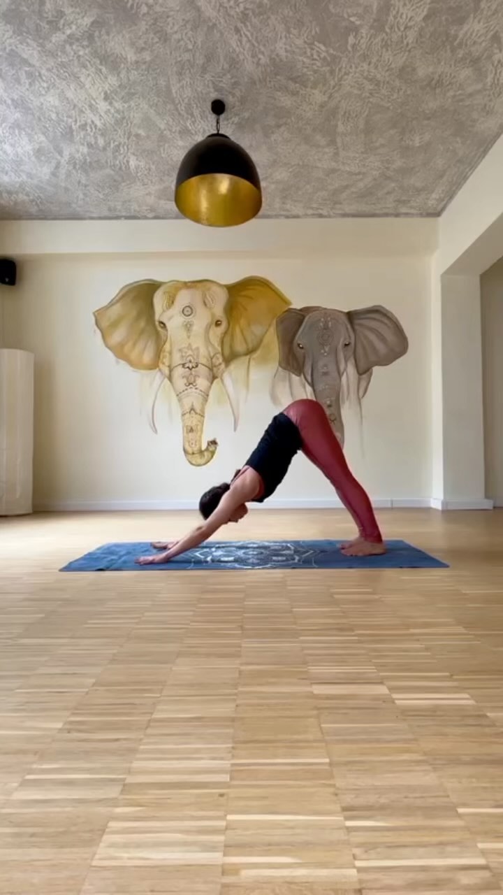 Vinyasa-Dance-Flow
Eine ganz besondere Form von Vinyasa Yoga… ganz bald in der Yogabar City😉
Wir starten ganz einfach mit einer leichten Choreografie…Tanzelemente mit Yoga verbunden, dazu wunderschöne Musik🔥💃🏼 fühle dich frei diese Kurse auszuprobieren wir freuen uns auf dich🙏
@iaiacastro
Tänzerin und Choreografin und natürlich Yogalehrerin💃🏼
#daceyoga #yogaflow #feelyoursoul #musikislife #vinyasayogaflow #yogabochum #bochumyoga #yogaimruhrgebiet #bochumcity #yoglehrerausbildung #pilatesreformer #yogapilates #balletdancer #reformerpilates