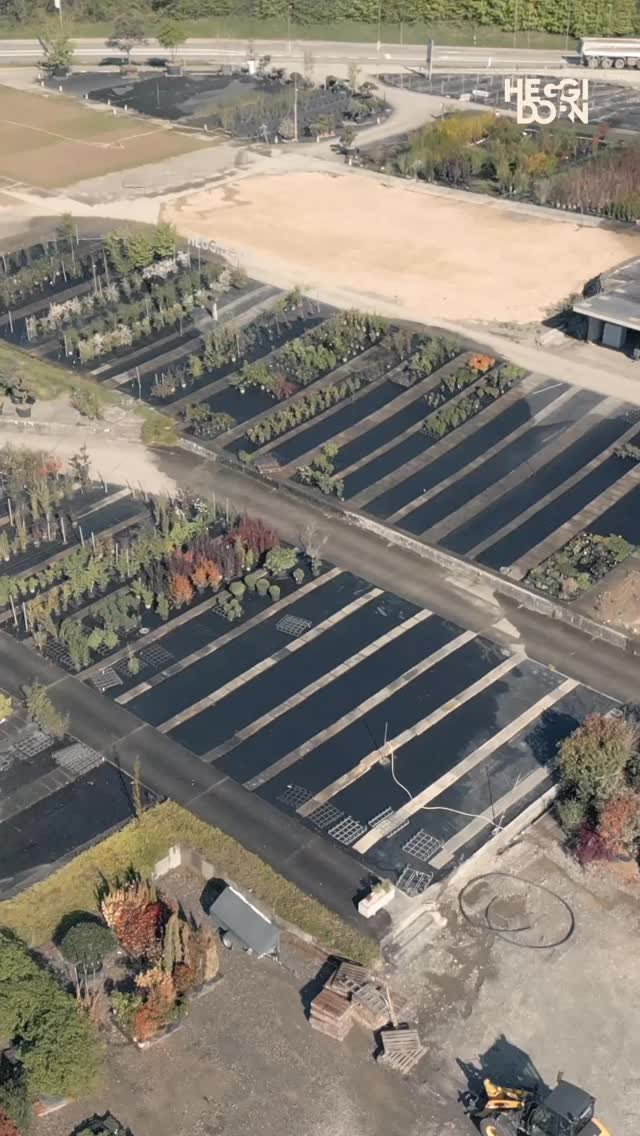 🌱Heggidorn Eröffnig am 16-17.Mai.🌱# Chömed verbi mir fröiä üs uf öich.🌿#heggidorn #pflanze #pflanzgefäße #garte #frühling