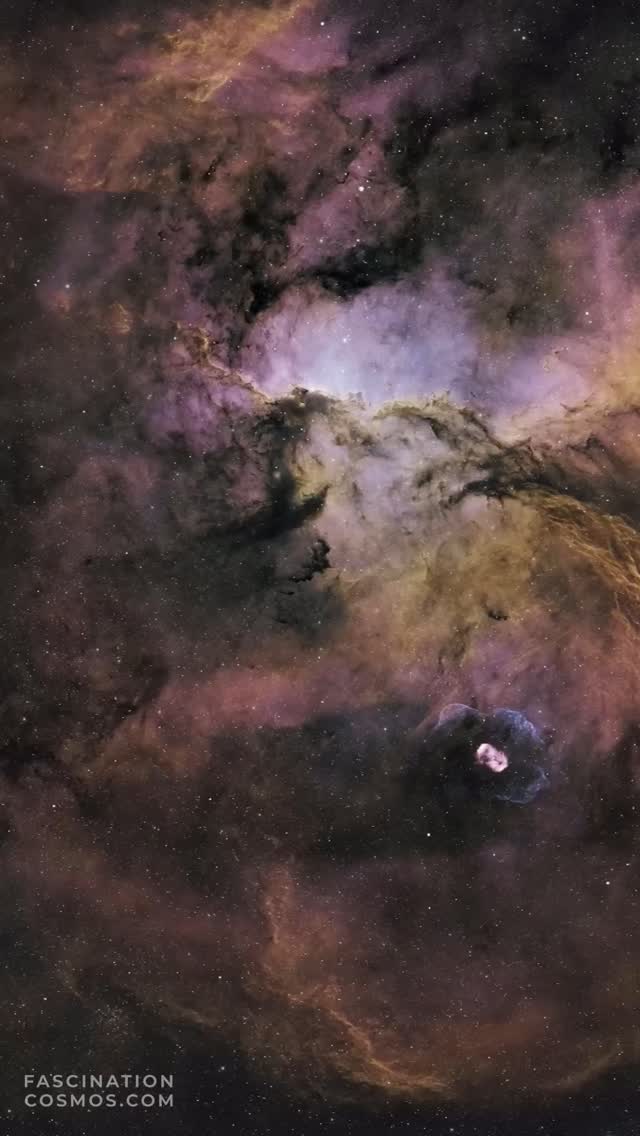 Kämpfende Drachen (NGC6188 aus der RCW108 Region)
Katalognummern NGC 6188 aus der RCW108 Region: Viele sehen hier „kämpfende Drachen“ , da seine Gas- und Staubstrukturen an die Form von Drachen erinnern.
Im nahegelegenen offenen Sternhaufen NGC 6193 befinden sich viele Sterne im „Kleinkindalter“, also erst wenige Millionen Jahre alt. Die heizen aber der rotblauen Region um sich herum ordentlich ein, beste Voraussetzungen für eine HII-Region und der Geburt neuer Sterne!. NGC 6188 ist Emissions- und Reflexionsnebel im Sternbild Ara (Altar) etwa 4.000 Lichtjahre von der Erde entfernt. Diese HII-Region sendet also Licht aus, das mit dem H-alpha Filter wunderbar eingefangen werden kann. In Summe besteht meine Aufnahme mit dem telescope.live Observatorium in Chile aus je 25 Rohbilder mit Schmalband (H-alpha, OII, SII) mit je 300s. . Es wurde mit Astro Pixel Prozessor, Pixinsight, Adobe PhotoShop verarbeitet und das Bild als Video animiert.
Bitte sehr gerne meine Post weiterleiten ! Jedwede andere Art von Kopien oder Nutzung ist nur mit ausdrücklicher Erlaubnis des Copyright Inhabers erlaubt. Bestellung von Kopien und Bildern gerne unter https://photo-portal.shop/profiles/fascinationcosmos.com/#/ oder einfach per Nachricht an mich.
#fascinationcosmos #cosmos #faszinationkosmos #kosmos #franzrettenbacher #astrophotography #astrofotografie #astrophoto #astrofoto #deepsky #astronomie #astronomy #astro #teleskop #amateurastrophotography #qhy268 #HEM27EC #iOptron #Lacerta #deepspace #RCW108 #NGC6188 #NGC6164 #KämpfendeDrachen #Drachenei