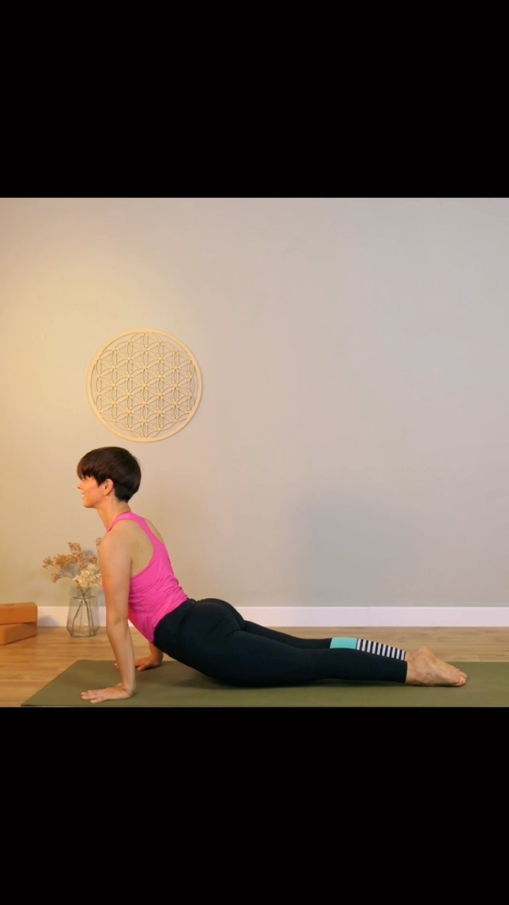 Meine Vorbereitungen auf die Herbstzeit
Noch sind die Tage draußen warm, aber der Herbst kommt in großen Schritten auf uns zu. Und damit auch die Erkältungszeit. Was mir jetzt hilft, ist noch einmal meinem Immunsystem einen Kick zu geben.
Dafür nutze ich morgens eine Sequenz, die mein Herz-Kreislaufsystem in Schwung bringt und den Stoffwechsel ordentlich ankurbelt. Somit baue ich schon durch die Bewegung Abwehrkräfte auf. Gerade mag ich besonders den Sonnengruß B. Der bringt mein Herz ordentlich zum Pumpen.
Auch wenn die Sequenz am Morgen etwas kraftvoller ist. Am Abend achte ich umso mehr auf Entspannung und Ausgeglichenheit. Denn was das Immunsystem am meisten schwächt ist Stress. Daher versuche ich gerade jetzt beim Übergang in den Herbst mein Stresslevel so gering wie möglich zu halten.
#yoga #ayurveda #vata #herbstzeit #immunsystemstärken #sonnengruß #bewegung #entspannung #stress #morgenroutine #erkältungszeit #kälte