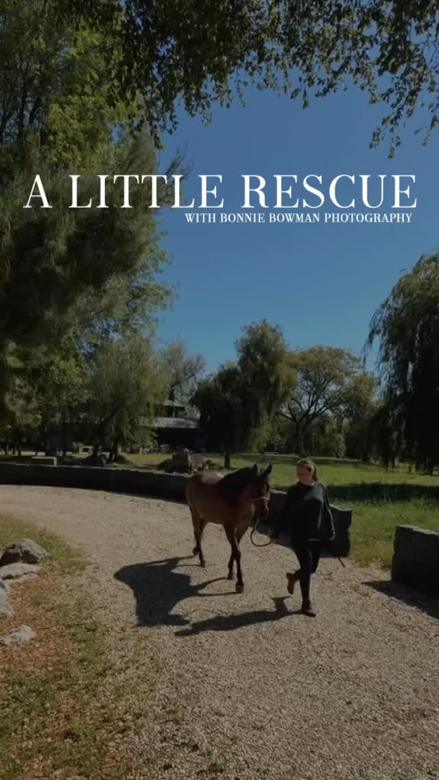 Photoshoot day with A Little Rescue
#horserescue #LAhorserescue #horsephotoshoot #laphotographer #photoshoot