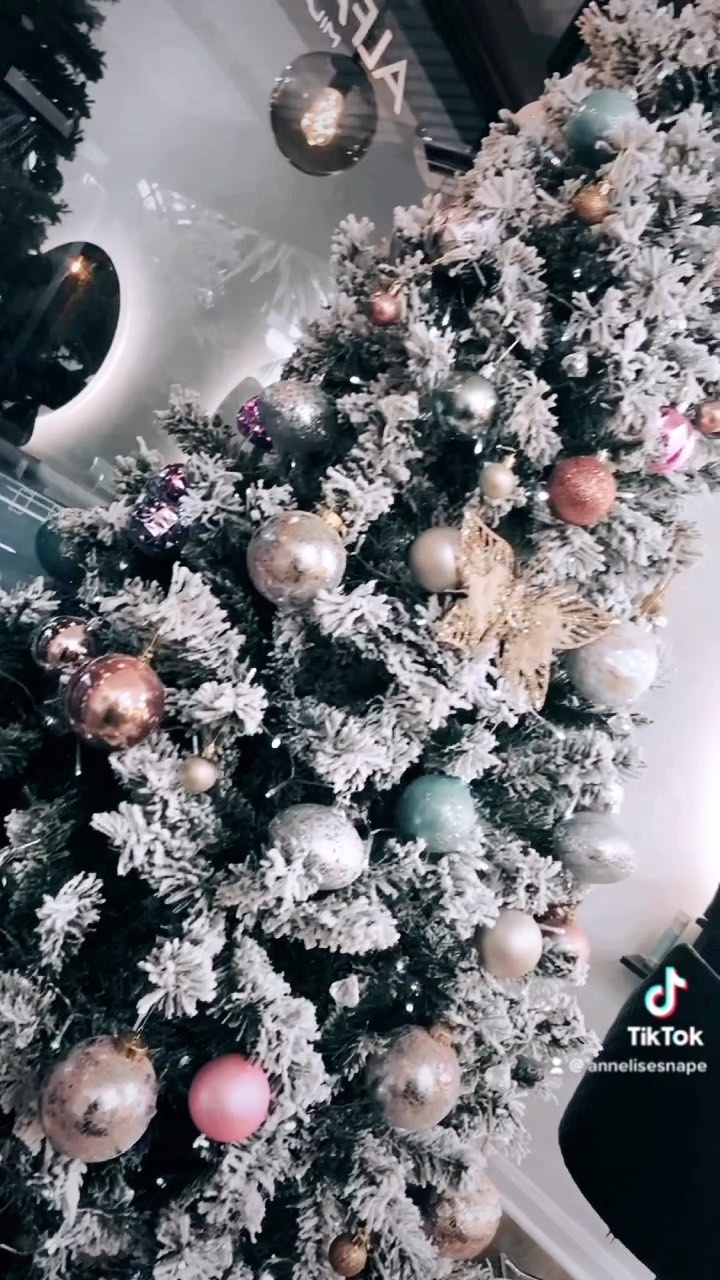 Our Tree!🎄 Whose looking forward to Christmas?
#sucasahair #sucasahairartistry #christmas #christmastree #hairsalon #hairsalonnewcastle #adamstown #newcastlensw #hairstyling #newcastlehairsalon
#ecofriendly #vegancolours