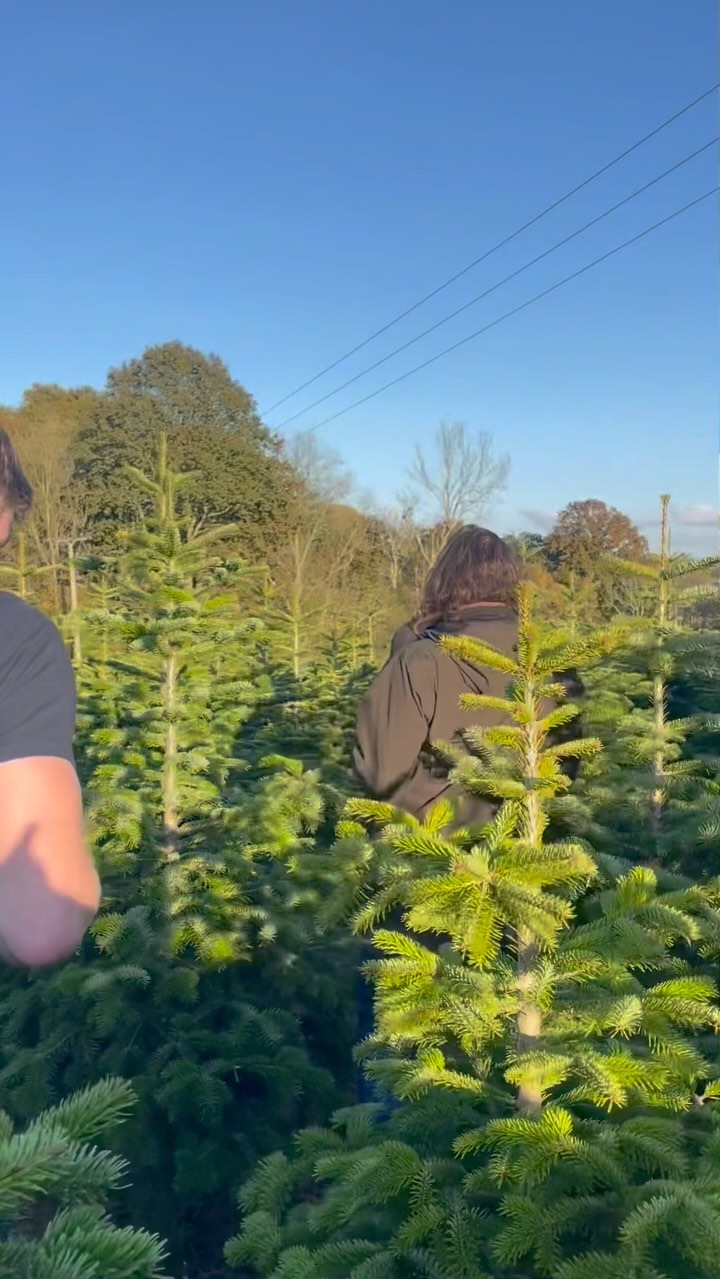 An afternoon spent visiting our tree suppliers 🎄
Pre-orders are live now! Free upgrade to our gold plan when you order before the 1st November 🌟
www.thexmastreeboys.net