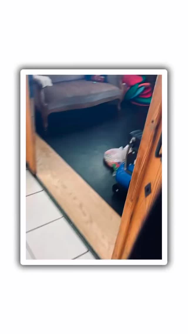 🎁🥳Heute steht kein Dancing Birthday auf dem Programm, sondern ein spektakulärer Akrobatik-Geburtstag!
🔜Ja, auch das kannst Du bei uns buchen! Unser Akrobatik-Experte @laurentwoods_ ist bereit und sorgt mit viel Schwung und Spaß auf der Airtrack-Matte für Action. Purzelbäume, Räder & Co. 🔥hier kommt Bewegung ins Spiel!
Du möchtest Deinen Geburtstag 🎊🎂ebenfalls bei uns feiern?
Dann melde Dich bei uns☎️! Wir übernehmen die komplette Organisation 👩🍳💂♂️von der Deko bis zur Spielplanung und gestalten Deinen Tag so, dass er unvergesslich wird💭
Tanzen, Spiele, Akrobatik, Kinderschminken 💙unser Angebot ist riesig und voller Möglichkeiten!
Wir freuen uns darauf, gemeinsam mit Dir zu feiern🥳
#dancingbirthday #balletschoolbarbarabortoli #utzenstorf #party #aktobatik #mybestday #funwithkids