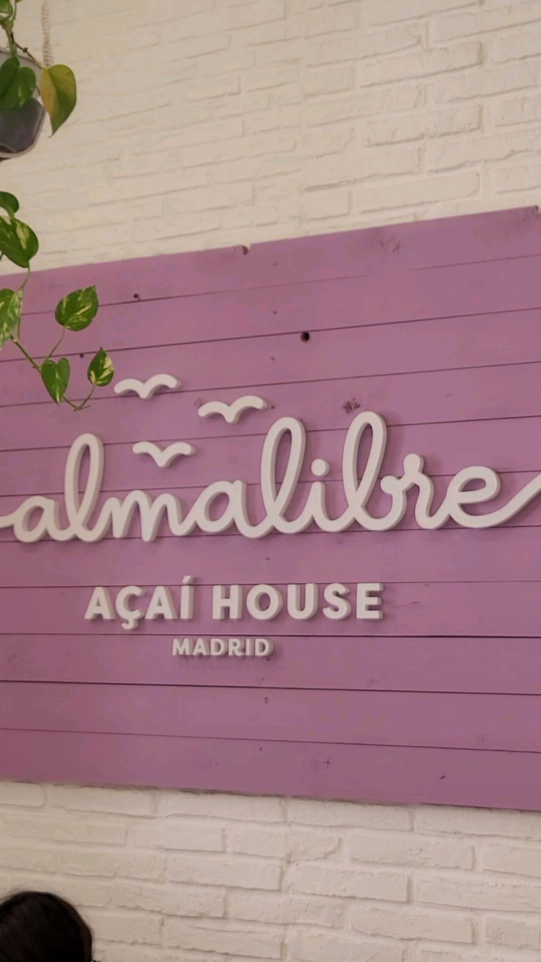 Hoy hemos comido en un vegabo riquísimo en el centro de Madrid @almalibreacaihouse
#vegan #vegano #veganfood #açai #madrid