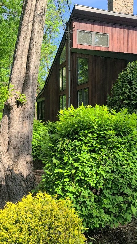 Exterior Strip and Stain day 1. Summit, NJ
#theinfamouspainter #paintingcontractor #paintingbusiness #professionalpainter #paintingcompany #painter #painting #exteriorpainting #exteriorstaining #stainstripping #gracosprayer #sherwinwilliams