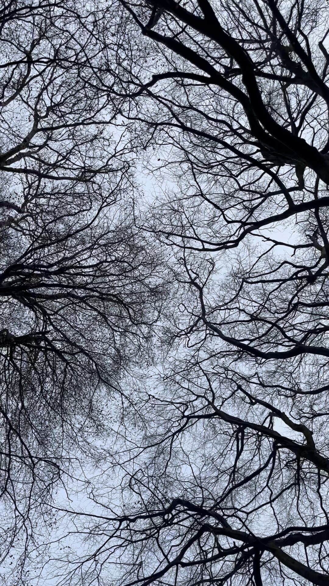 communing
what a thing it is to come together
to commune with each other
to share, to connect
out of our own little burrows
touching in to each others lives
human voices & more than human
all weaving in amongst each other
basked in its magic this morning
courtesy of @damsonhillcottage
where it’s offered in spades
movement, creativity, nature & connection
grateful & then some to know this haven
and for the reminder it offers too
we’re not designed to live without this
these spaces to commune
so many stories that speak otherwise
internally & externally
so can we keep stepping out in to the world
keep remembering, keep being reminded
of the magic & majesty that awaits
just outside the doors to our burrows
#natureconnection #ecotherapy #ecopsychology #community #commune #communing #connection #nature