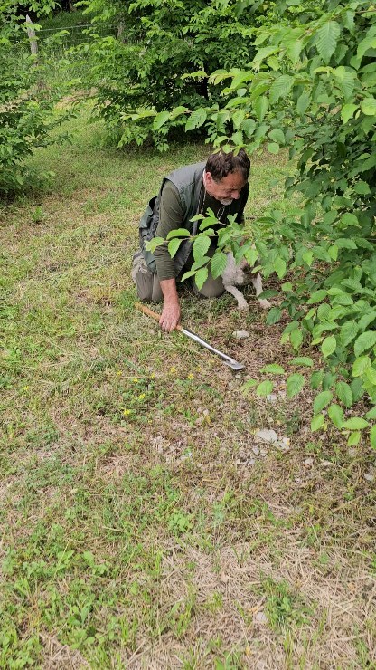 The excitement when we found a huge truffle!!!