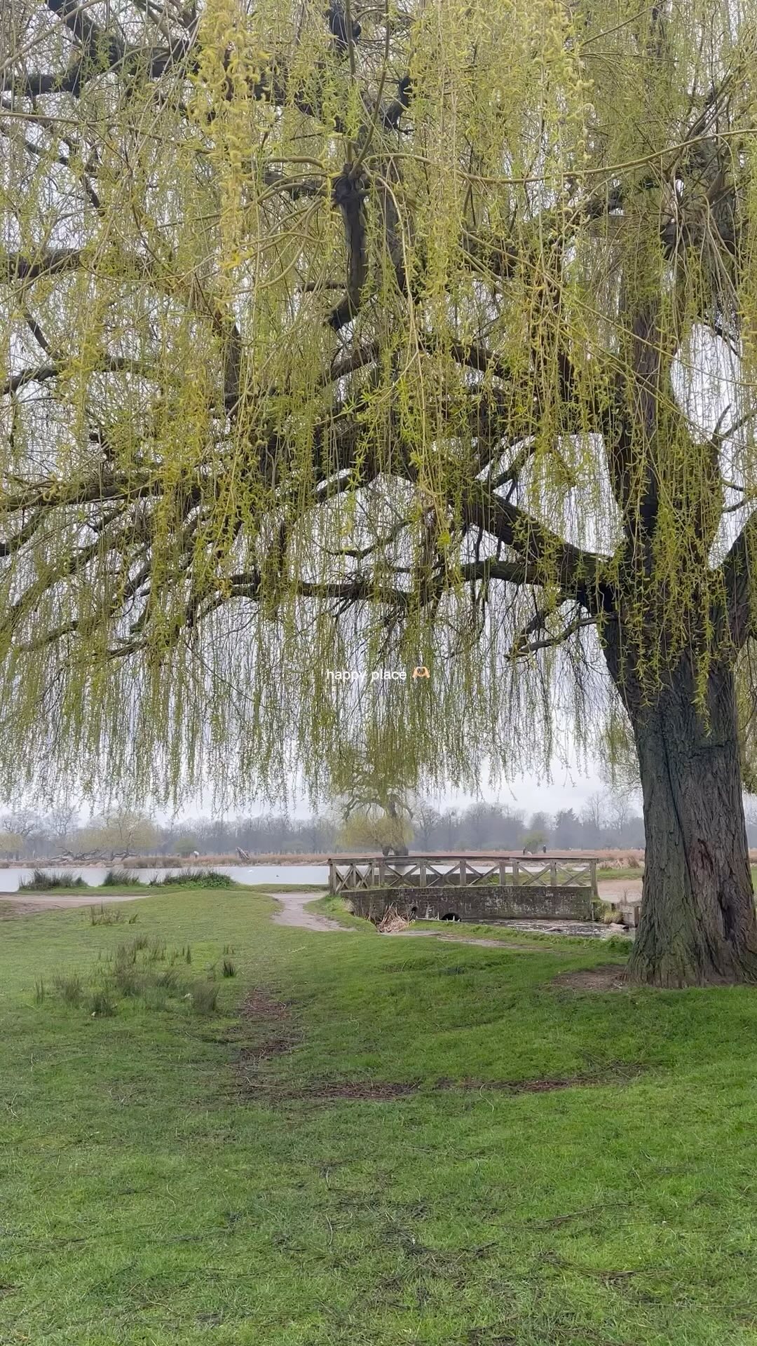 From Harry Potter to Henry VIII’s deers - we’ve got it all here 🤍
#surrey #richmond #kingstonuponthames #kingston #bushypark #richmondpark #weekend #sundayvibes #sunday #prettycitylondon #prettyengland #england #afterhours #lawyerafterhours #run #runner #wellbeing