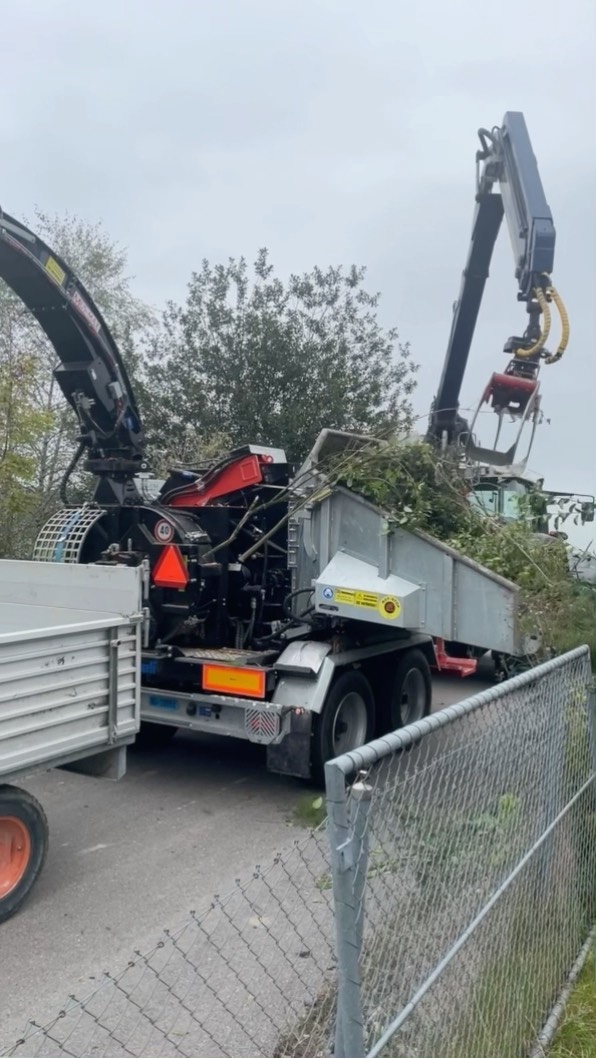 Gärn schnidemer ou dini Pflanzä umä ds rächt.🪵🍂
Me Info unger @boehlen_gartenpflege 🔥
#gartenideen #gartenmagazin #landwirtschaft #unterhalt #pflanzen #bäume #fendt #holzhacker #böhlenlandschaftsbau