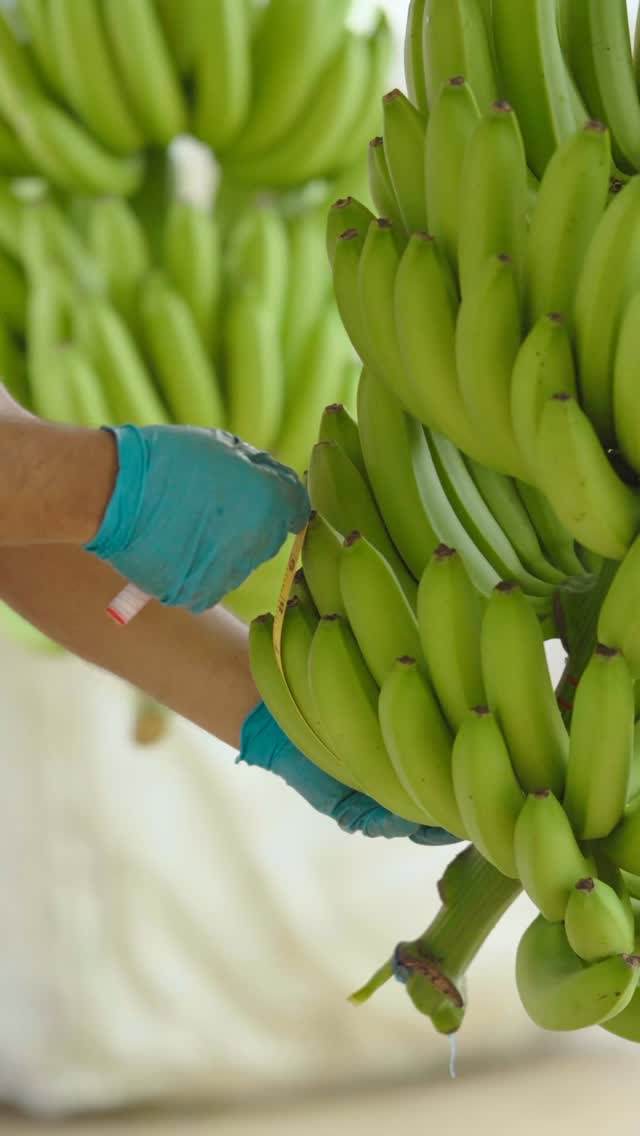 Este día nos recuerda que el comercio justo no es solo una etiqueta: es una forma de vida que cuida a quienes cultivan, a sus familias y al planeta.