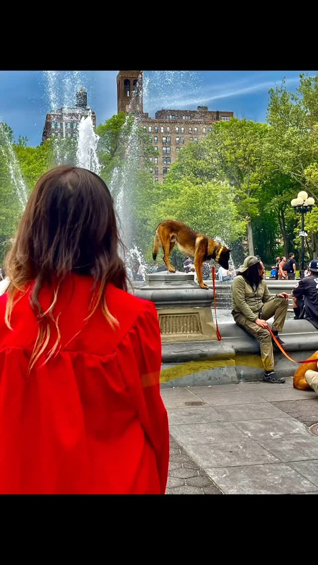 Washington Square: a vibrant crossroads of creativity and protest, pulsing with the spirit of New York’s past—where artists, thinkers, and hippies once gathered to challenge convention and shape culture.