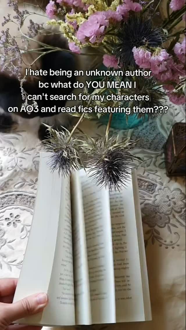 Rude tbh 😩 When am I gonna get my 30K Sinnan/Domitris something AU smùtfest?