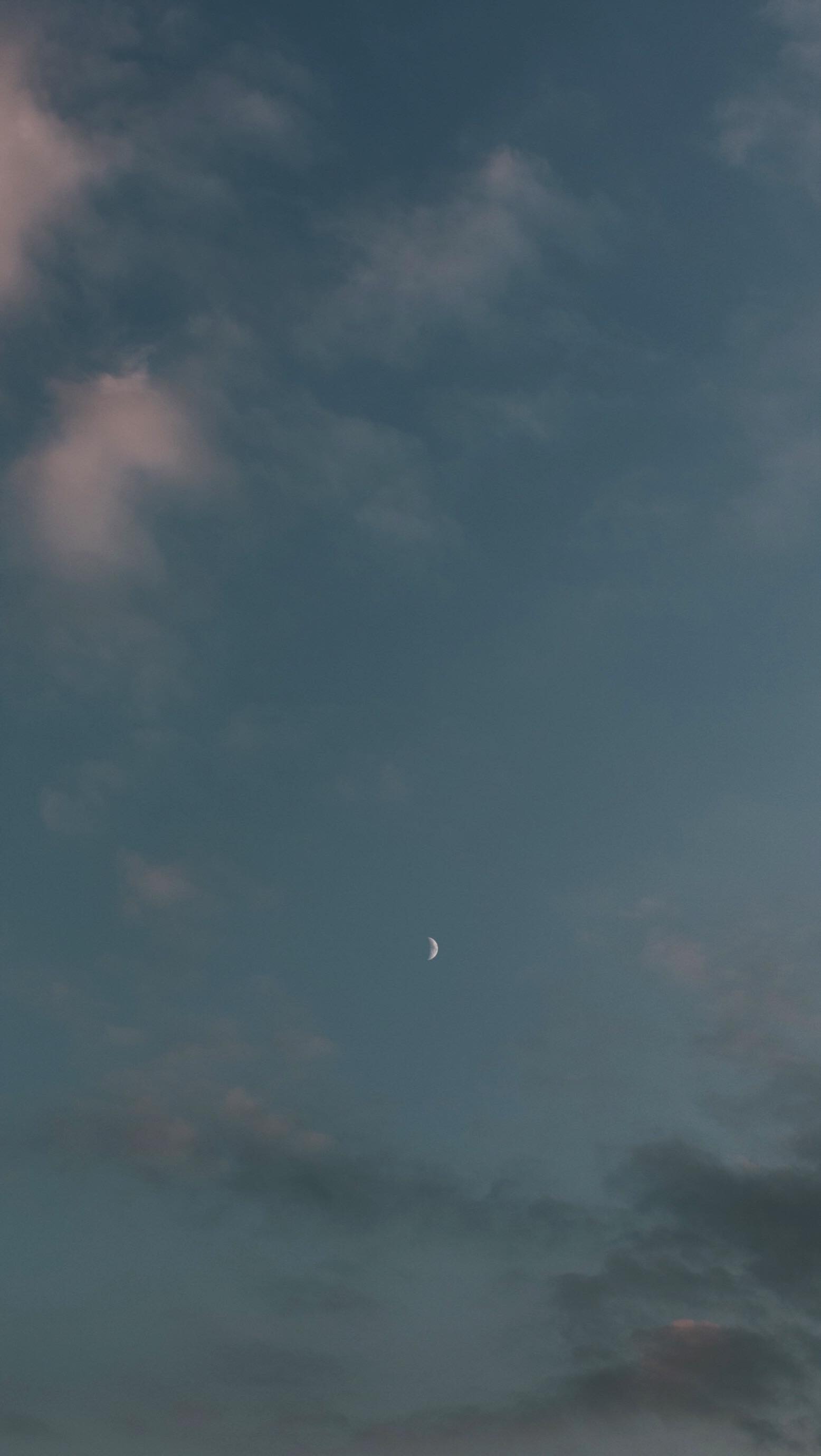 // hot italian pizza night in the US with @trinity.tiffany , my brother Max & dog lady Juno 🫶🏼
#pizza #pizzalover #pizzanight #usa #goodtimes #cheers