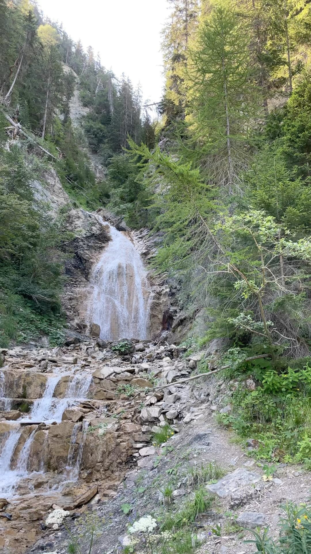 L’été on est au frais à @la_plagne !! #rando #montagne #randonnée #nature