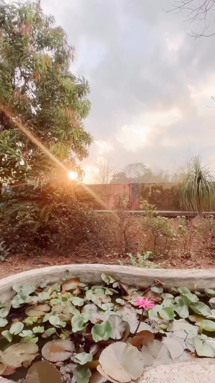 Video Credits - @patil_prajwal1916