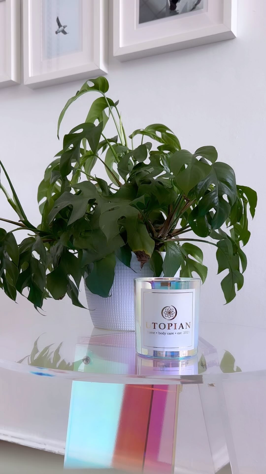 A veces puedes sentirte abrumado, cansada o dudosa de ti misma. Es parte del proceso. Toma una pausa y mira a donde haz llegado y siéntete orgullosa de tu progreso. Si trabajas duro y eres consistente podrás con todo lo que se avecina 💜🙏🏼
-
Gracias @utopianbodycare por hacernos la vela de nuestros sueños iridiscentes 🪄💜✨ Creo que ya toca un collab para que todos puedan llevarse una vela iridescent a su casa. ¿Qué creen? 🤩
#liveiridescently #entrepeneurship #hardworkpaysoff #reflecting #iridescence #iridescent